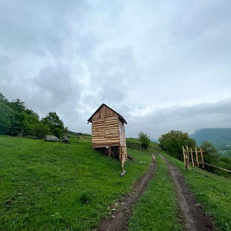 Alereks Mountain Camping Dsegh Exterior foto