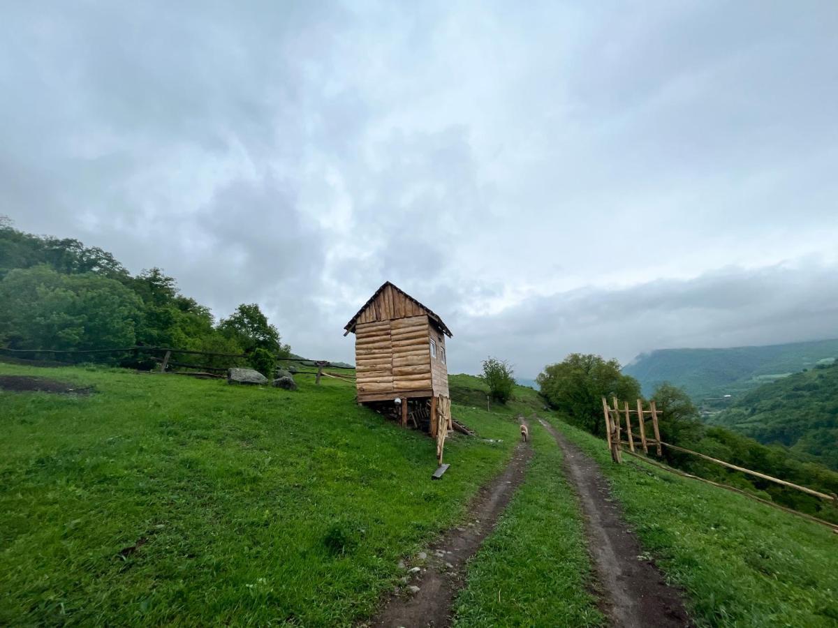 Alereks Mountain Camping Dsegh Exterior foto